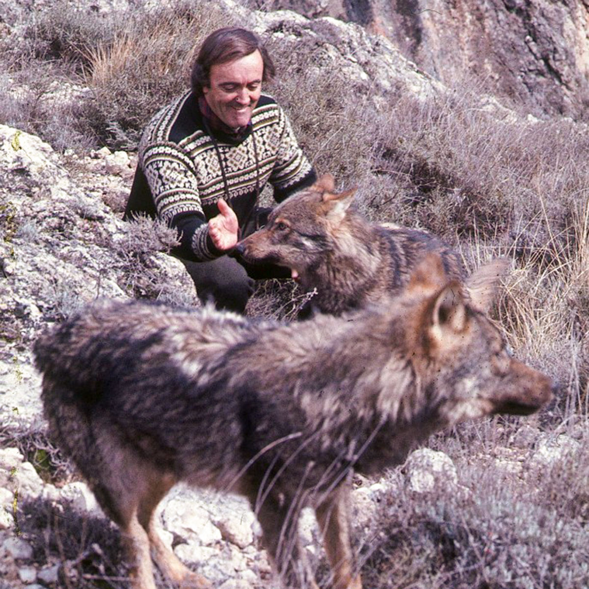 Félix Rodríguez de la Fuente: los secretos de un naturalista